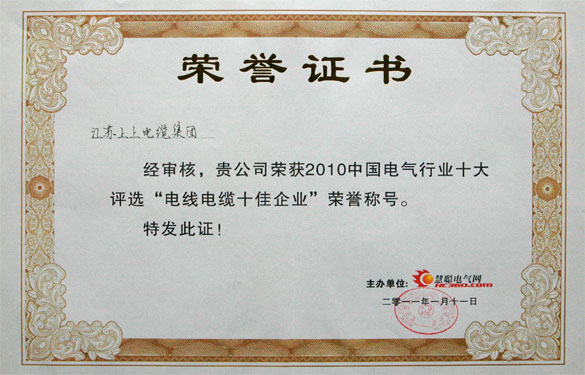 兴发娱乐被评为“2010中国电线电缆十佳企业”